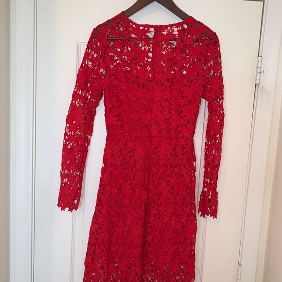 Beautiful Lace Dress - Picture 3 of 4